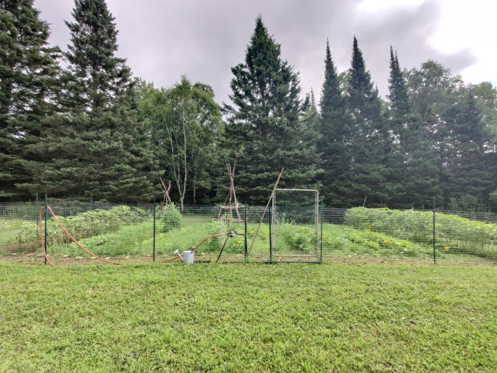 Our Off-Grid Vegetable Garden: A Four-Year&nbsp;Journey