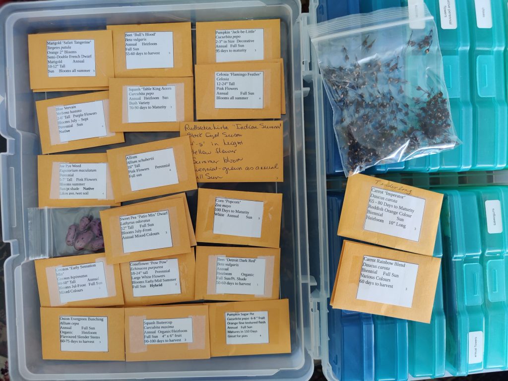 A Snowy Journey to a Warm Gathering: Reflections on a Successful Seedy&nbsp;Saturday