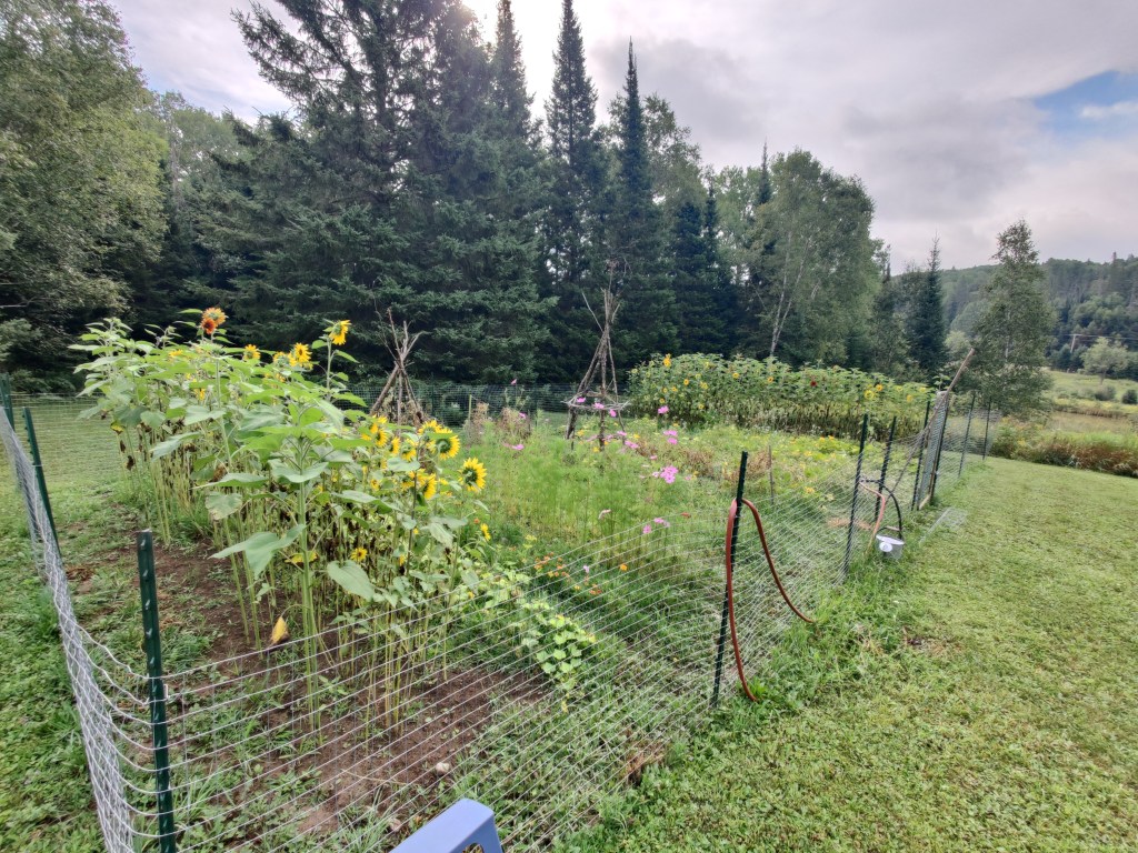 Why planting a garden is the most productive act of&nbsp;resistance